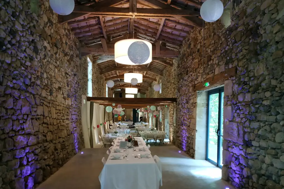 Water Bear — photo 1