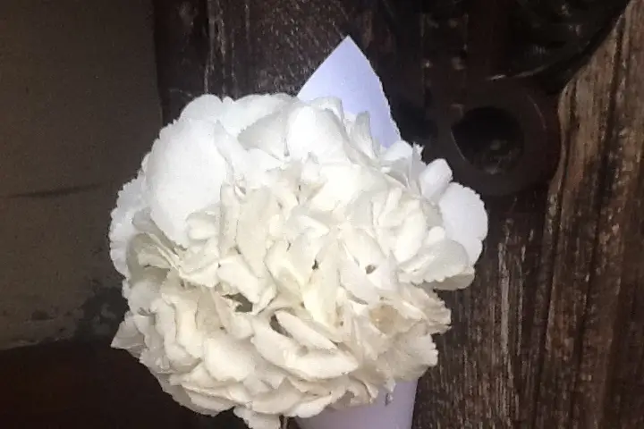 Rev'en Fleurs — photo 8