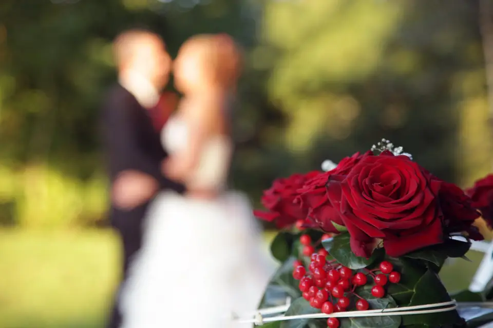 Photographie François Barreto — photo 1