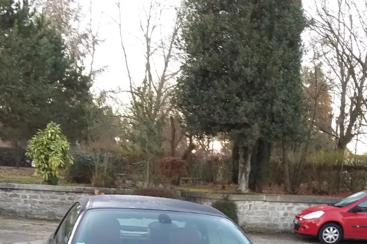 Location PatSuc — photo 5