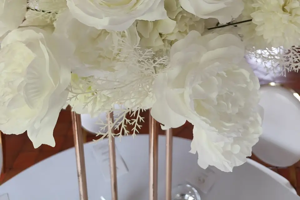 Aya Event49 — photo 4