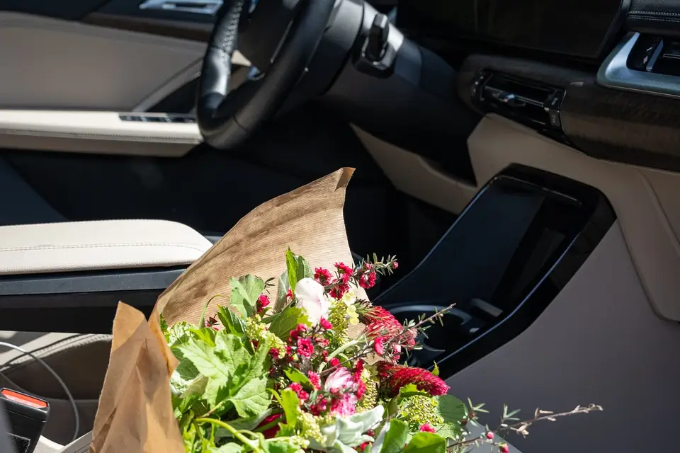 BMW & MINI Pautric Rennes — photo 1