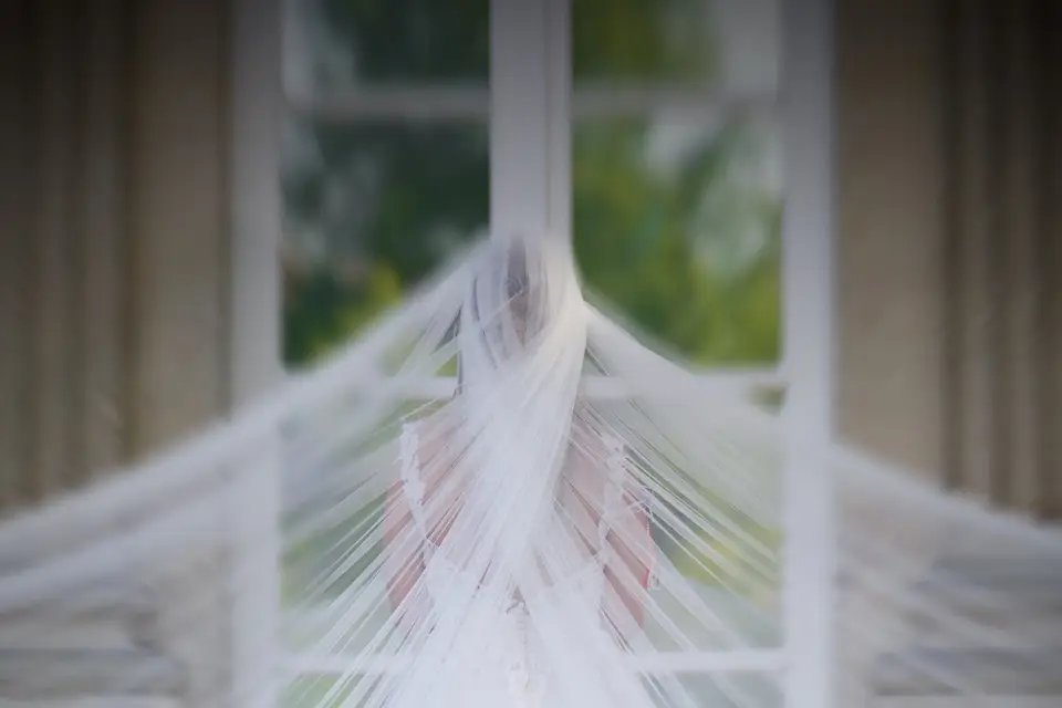 Selvento Studio — photo 7