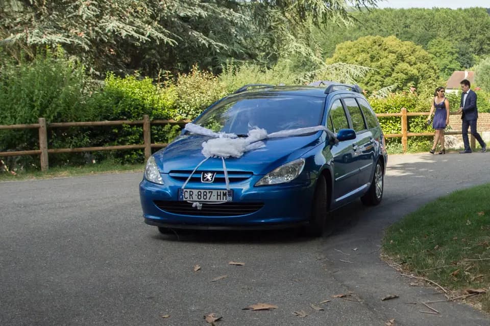 Duursma Productions — photo 4