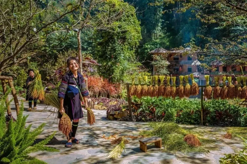 Vietnam Découverte — photo 5