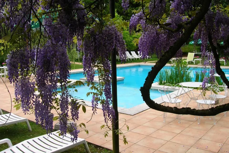 Hôtel Les Rochers — photo 6