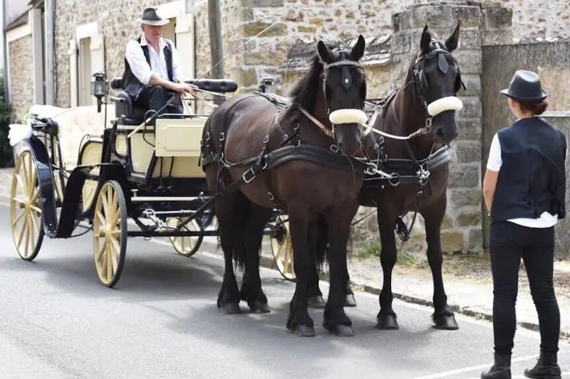 Attelages de Rougeau