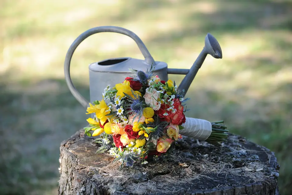 France Fleurs — photo 4