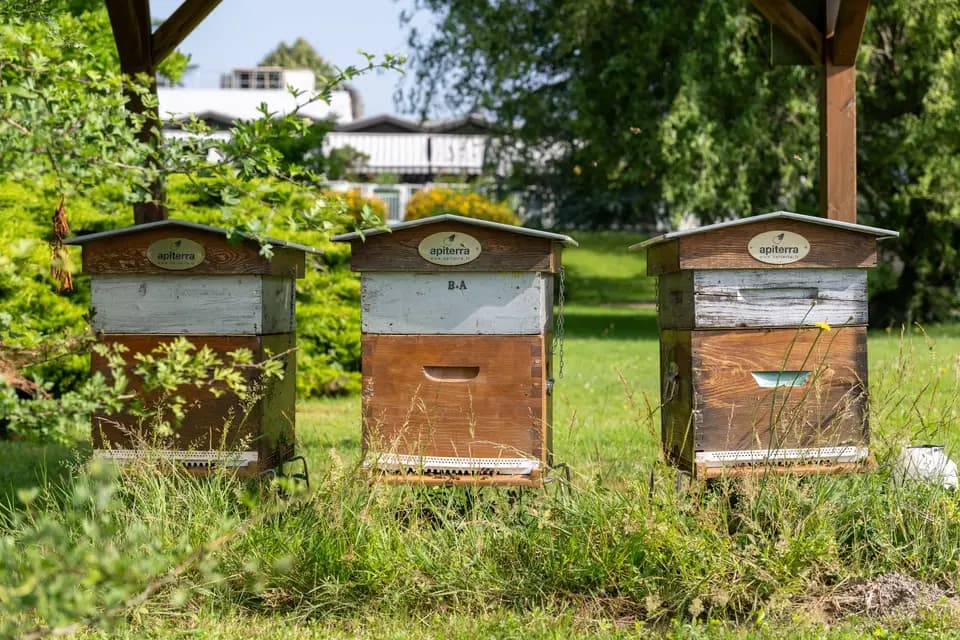 Novotel Grenoble Nord Voreppe — photo 5