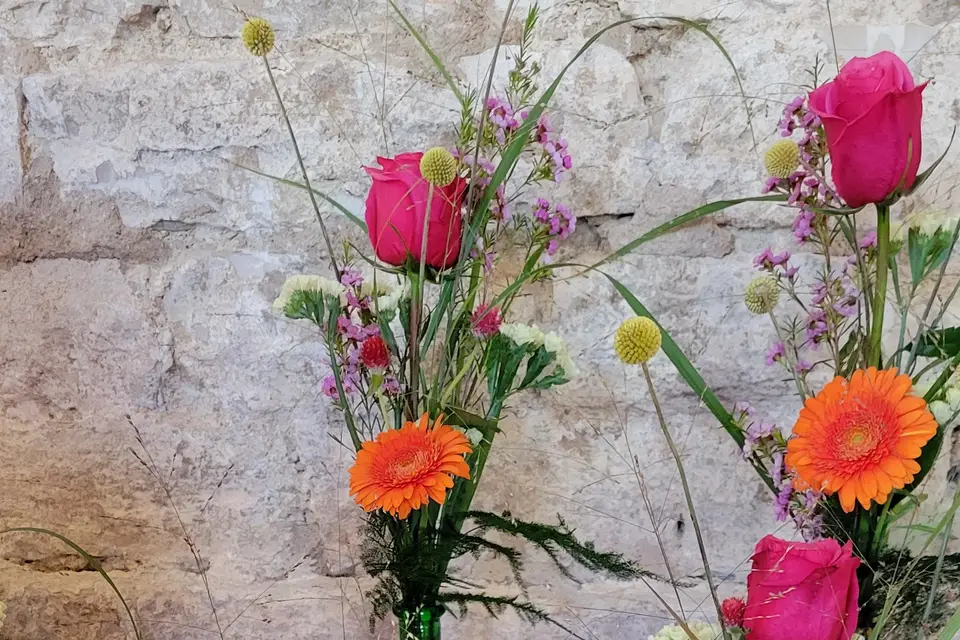 Les Jardins du Serein — photo 8