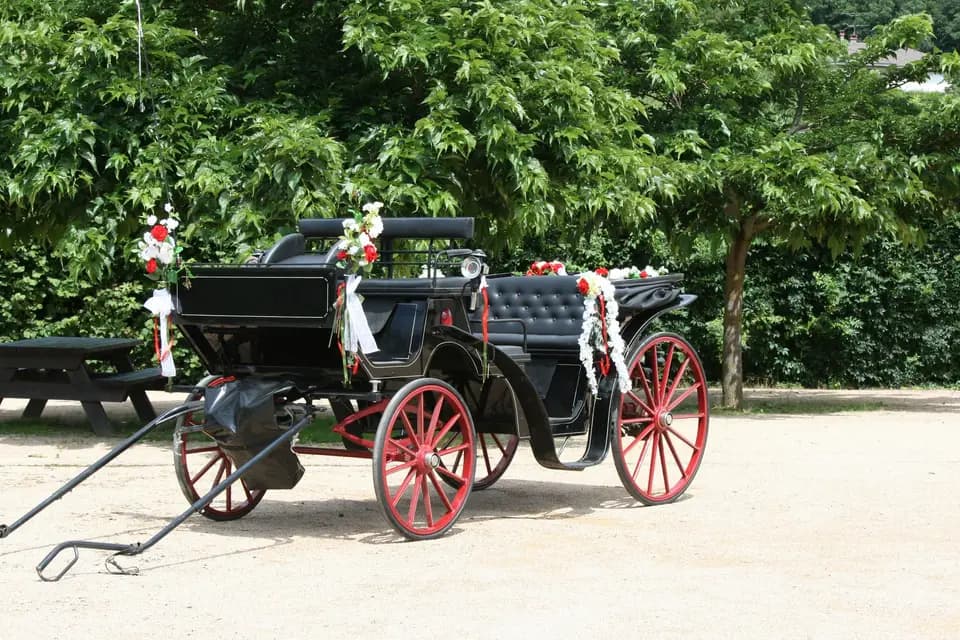 Les Attelages d'Elys — photo 5