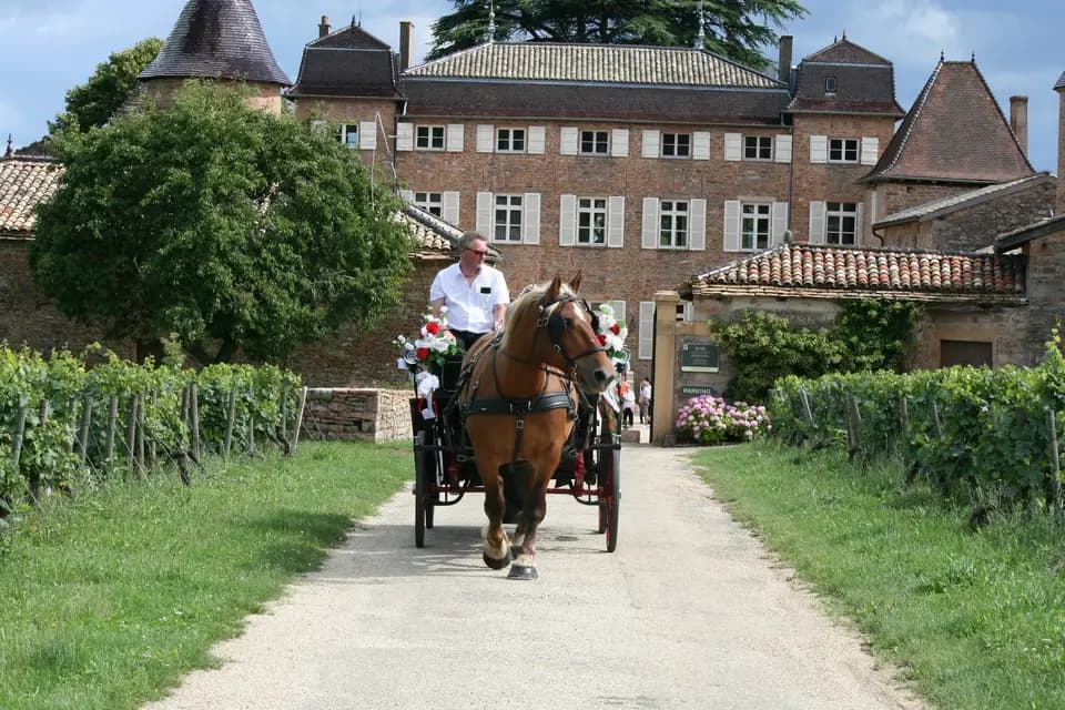 Les Attelages d'Elys — photo 6