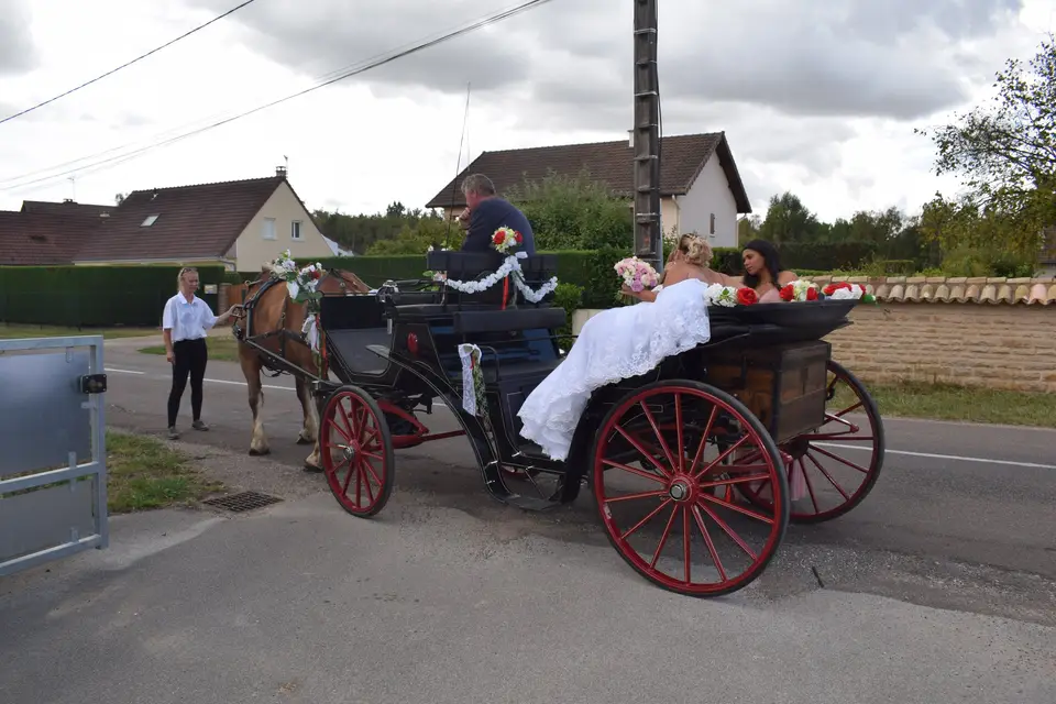 Les Attelages d'Elys — photo 3