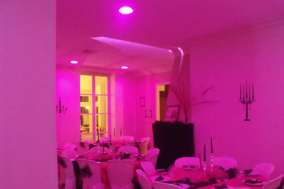 Organisateur en événementiel — photo 3