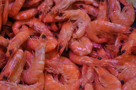 La Poissonnerie La Perle de L'Océan — photo 3