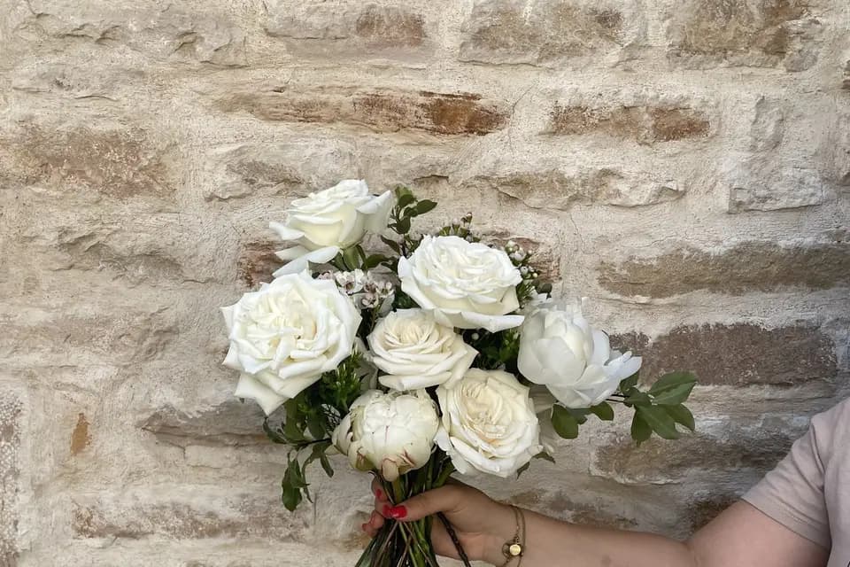 Coquelicotte — photo 4