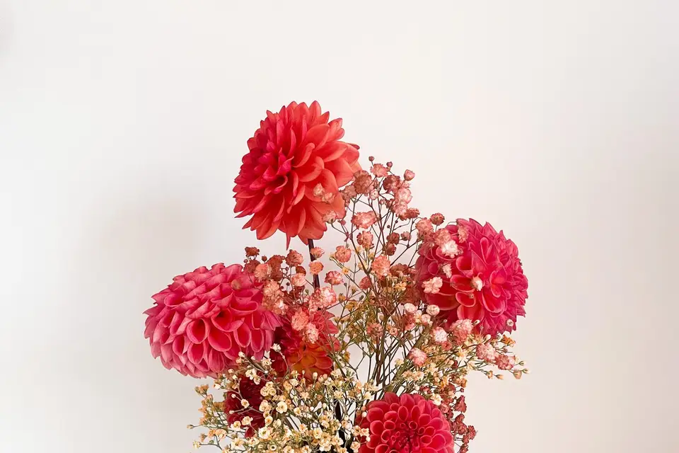 Coquelicotte — photo 1