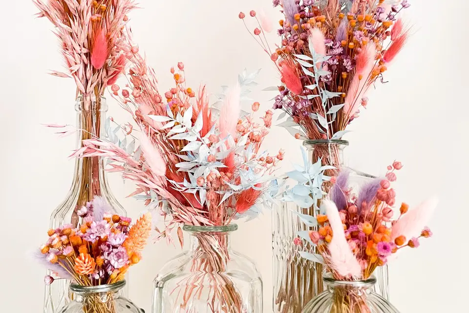 Coquelicotte — photo 3