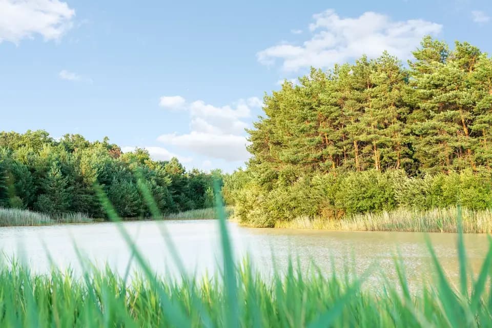 Le Manoir de Pierre Levée — photo 1