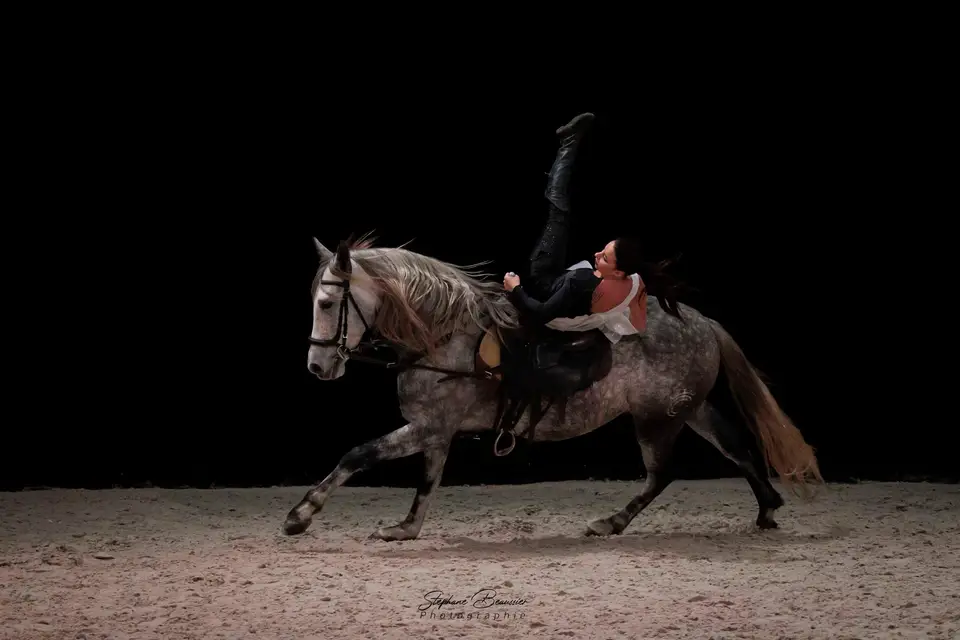 Écurie de Spectacle Zurda — photo 6