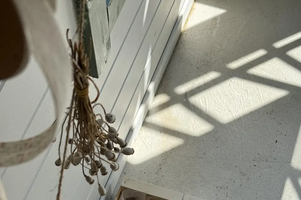 Du beau e basta — photo 5