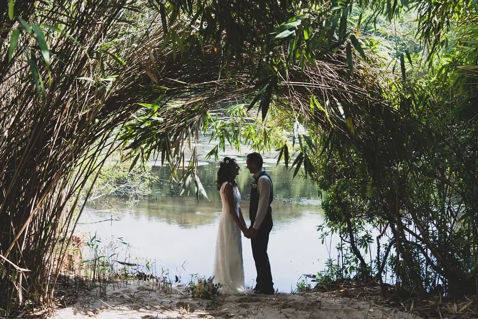 Domaine de la Palue — photo 8