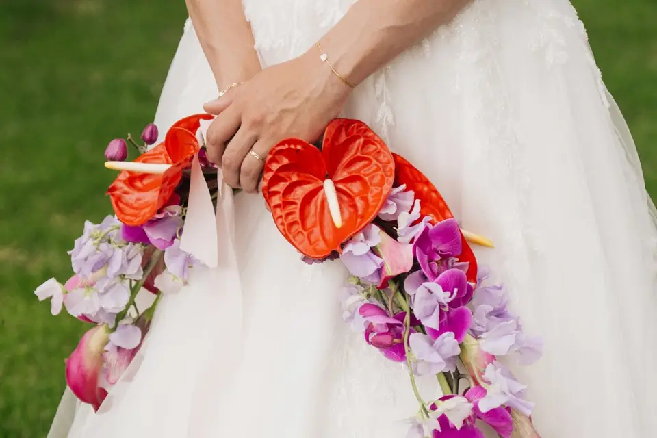 La Petite Pyrène — photo 2