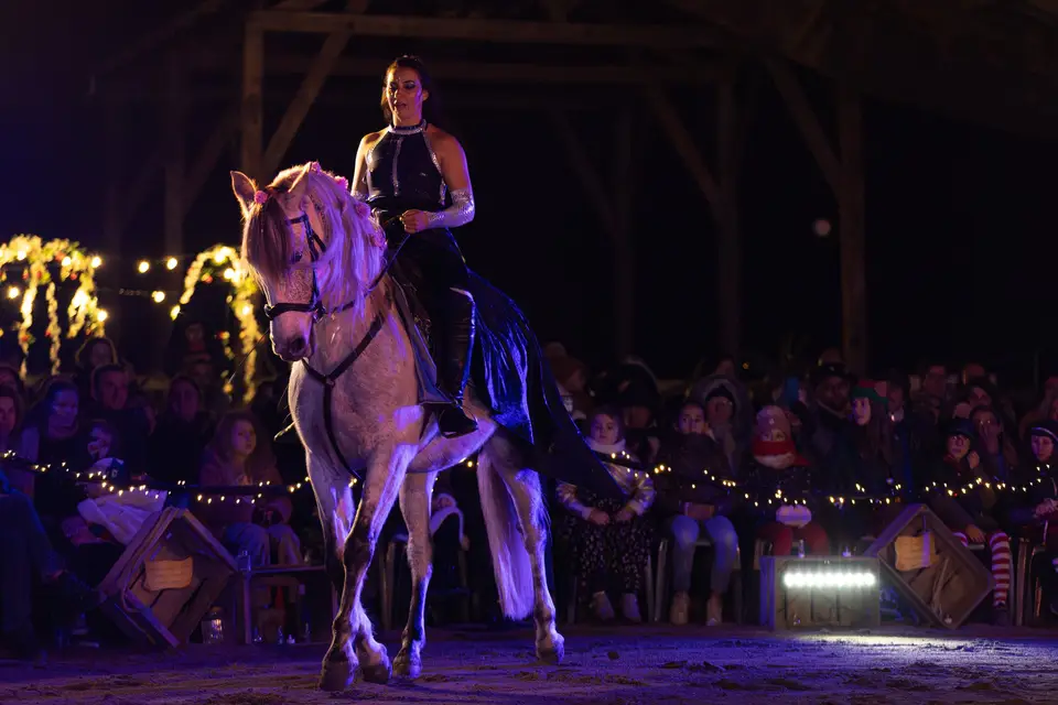 Écurie de Spectacle Zurda — photo 2