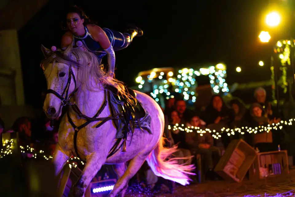 Écurie de Spectacle Zurda — photo 4