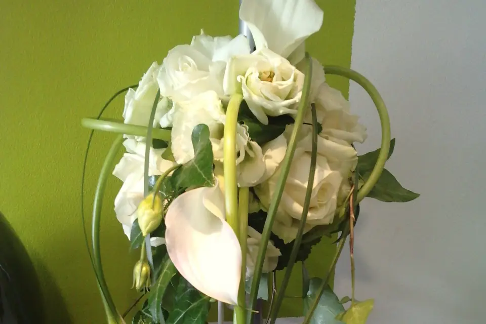 Après la pluie... — photo 1