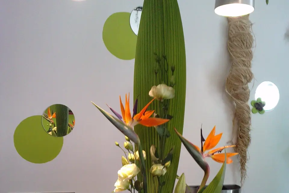 Après la pluie... — photo 2