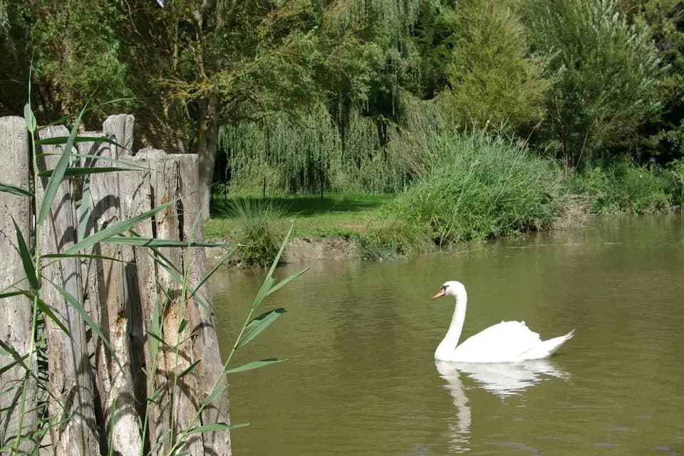 Petit Moulin de Courtangis — photo 6