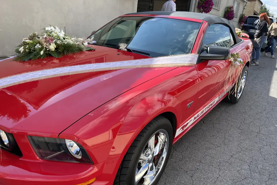 La Mumu rouge — photo 2