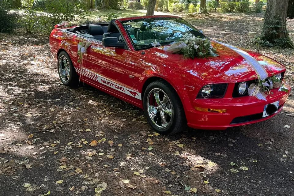 La Mumu rouge — photo 1