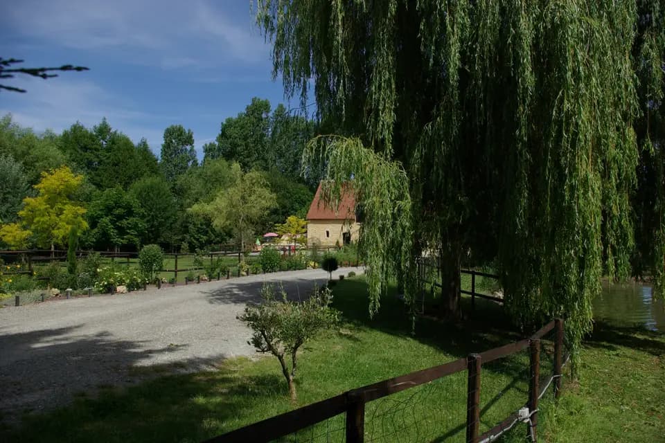 Petit Moulin de Courtangis — photo 3