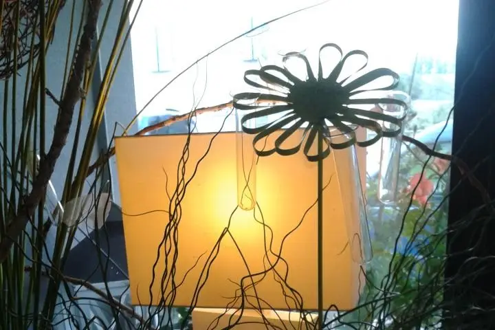 Après la pluie... — photo 4