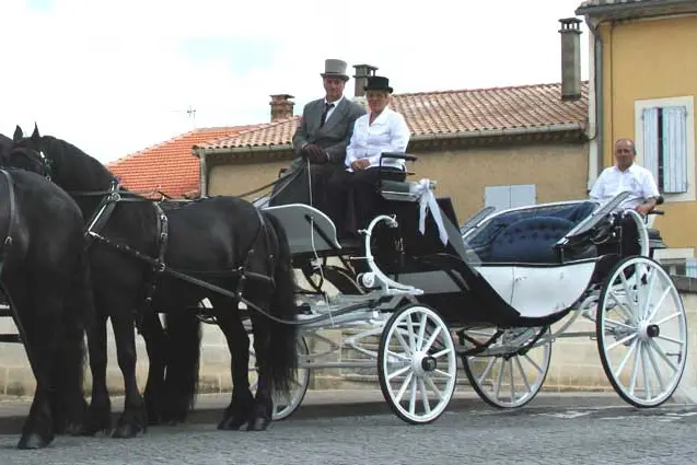 Attelage Dubois et ses Frisons — photo 1