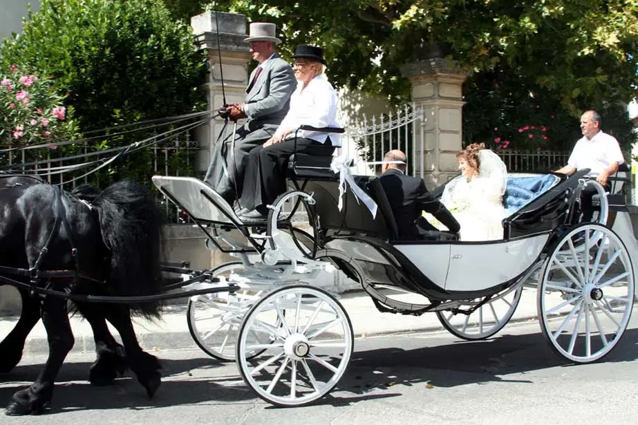 Attelage Dubois et ses Frisons