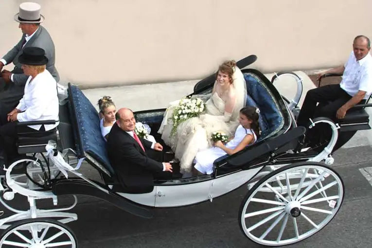 Attelage Dubois et ses Frisons — photo 2