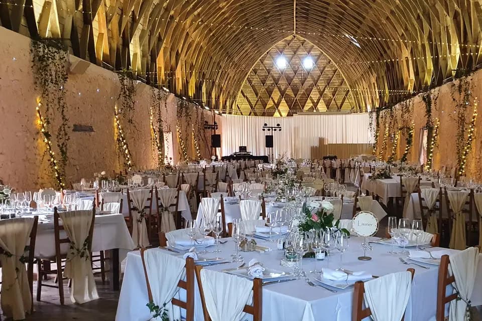 Fly Night Discomobile — photo 2