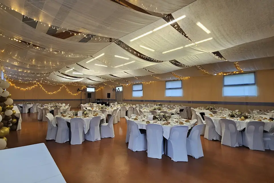 Fly Night Discomobile — photo 7