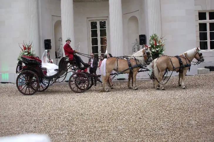 Mariez-vous en Calèche — photo 1