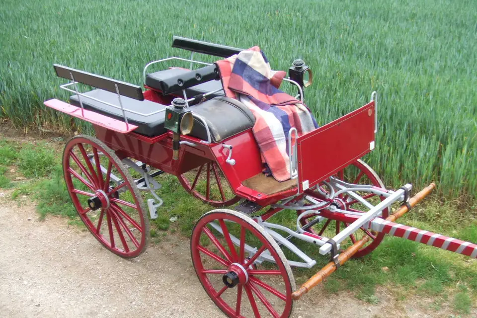 Mariez-vous en Calèche — photo 4