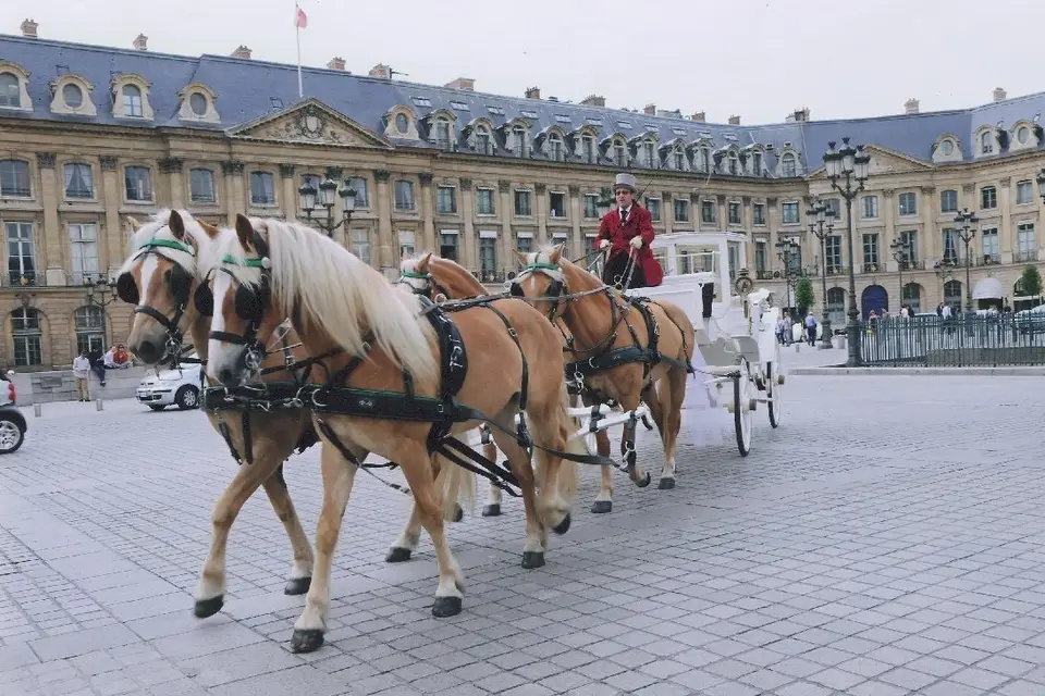 Mariez-vous en Calèche — photo 6