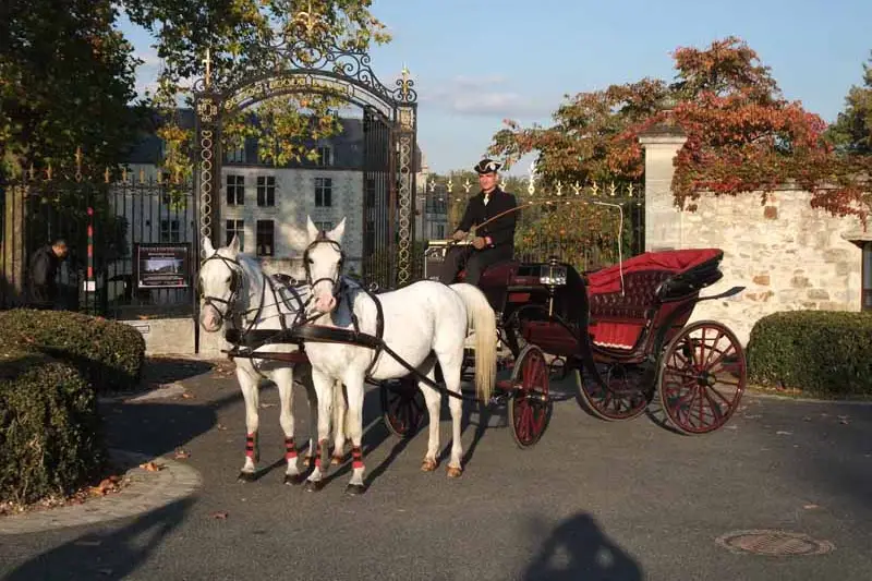 Mariez-vous en Calèche — photo 5