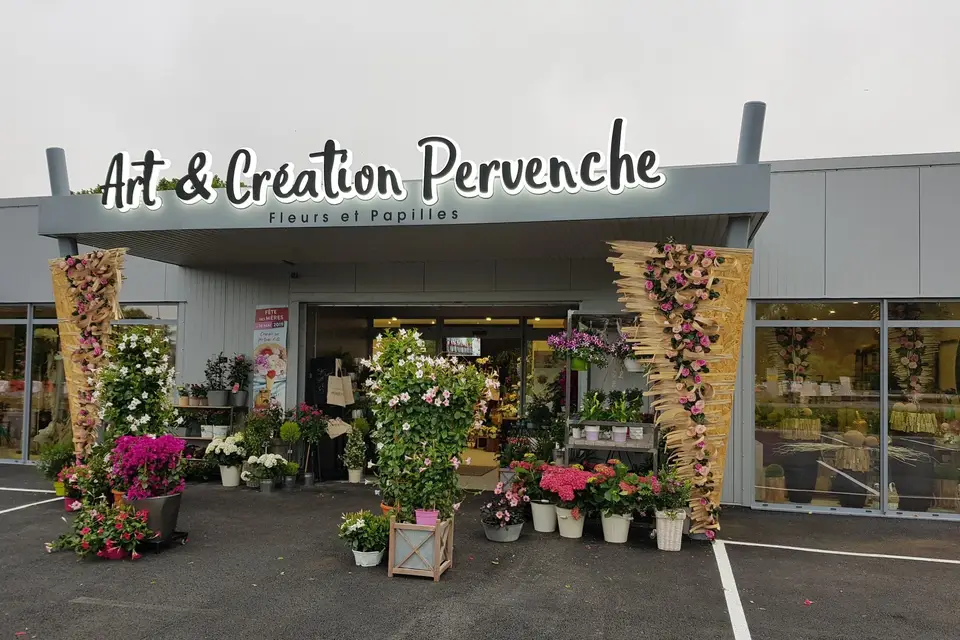 Art et Création Pervenche
