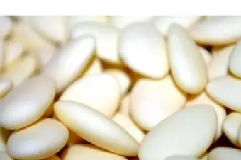 Leonidas Chauny — photo 4