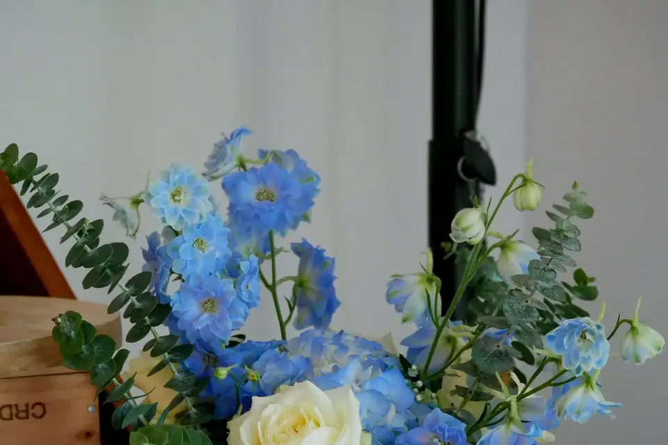 Idéal Déco — photo 8