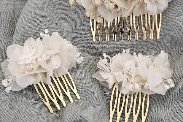 Éclat de Cosmos — photo 3