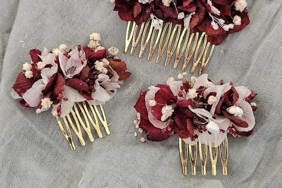 Éclat de Cosmos — photo 4